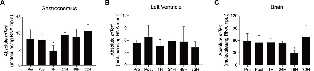 FIGURE 5–