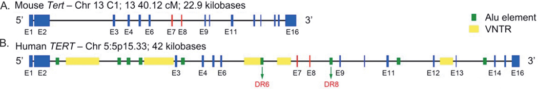 FIGURE 1–