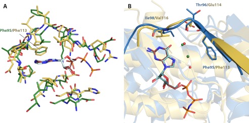 FIGURE 5.