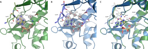 FIGURE 2.