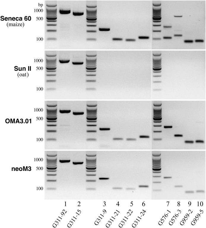 Figure 6.