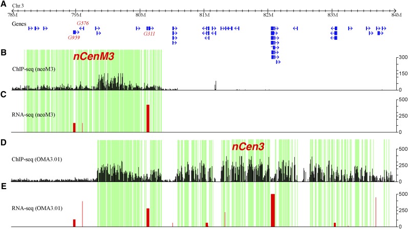 Figure 5.