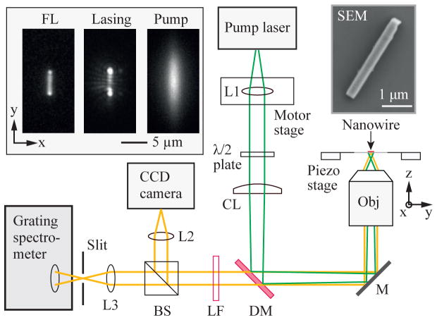 FIG. 3