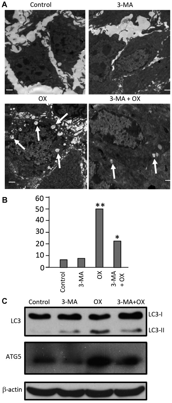 Figure 5.