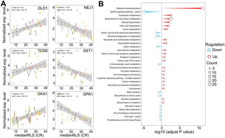 Figure 6: