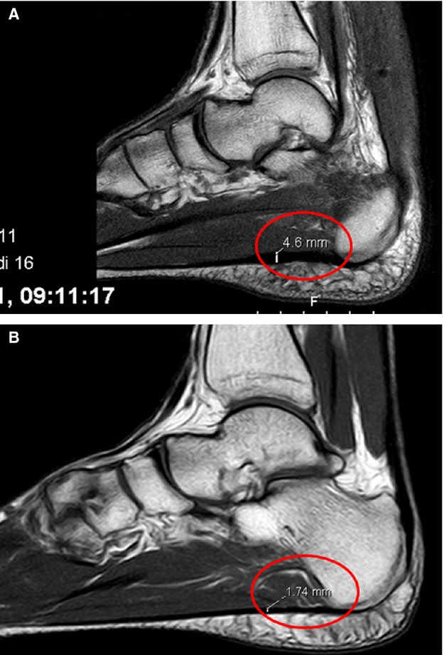 Fig. 8