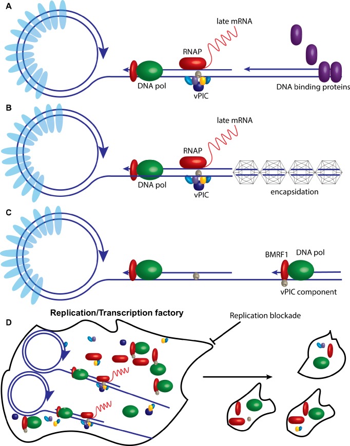 Fig 11