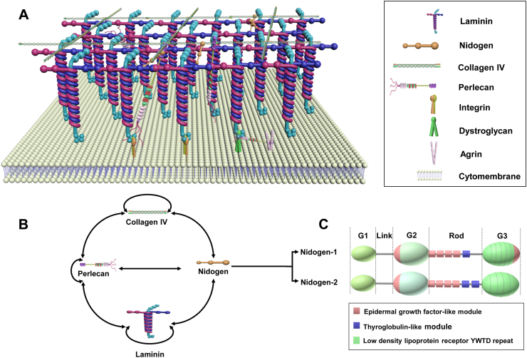 Figure 1