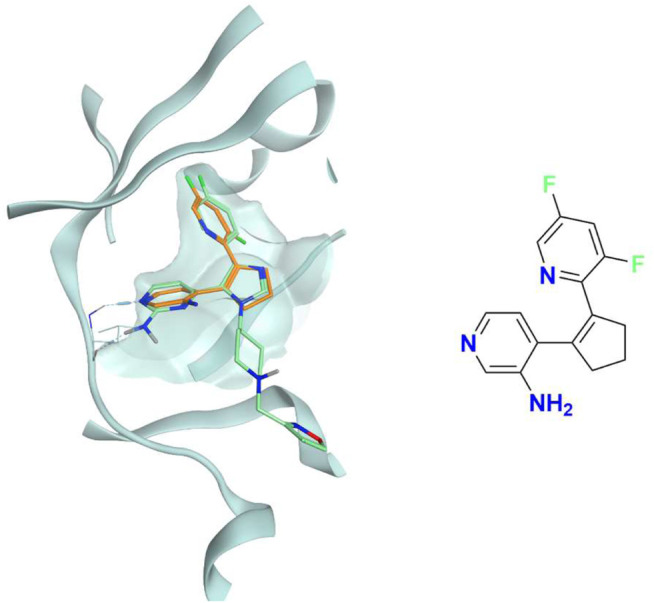 FIGURE 7