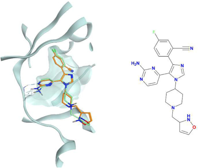 FIGURE 11