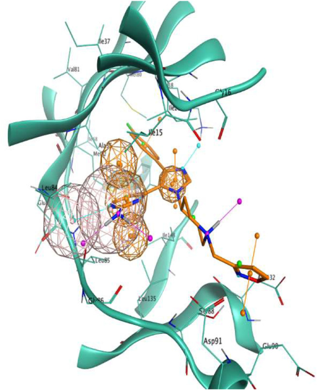 FIGURE 1