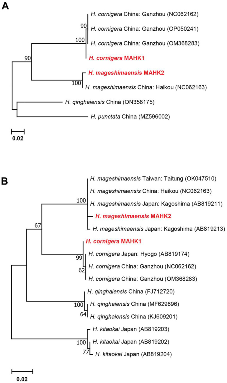 Figure 7