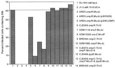 FIG. 1