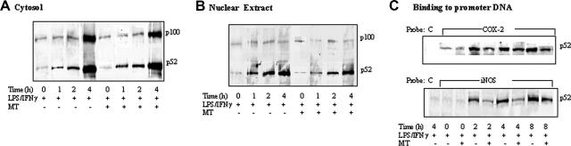 Figure 4.