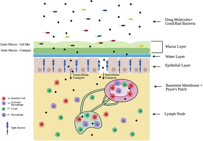 FIGURE 1