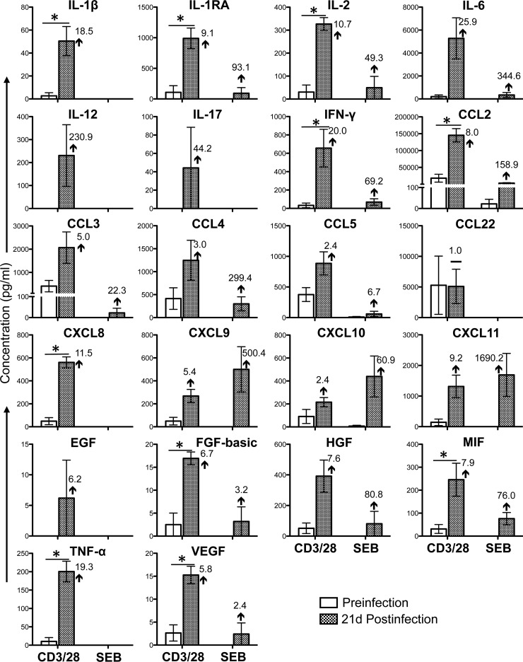 FIG 6