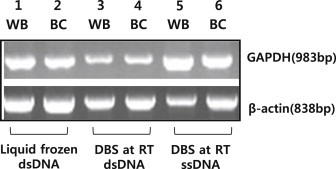 Figure 7