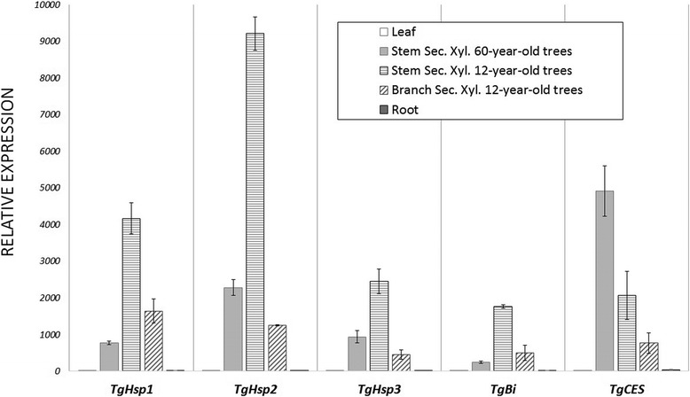 Fig. 12