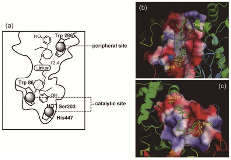 Fig. (2)