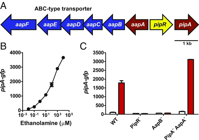 Fig. 1.