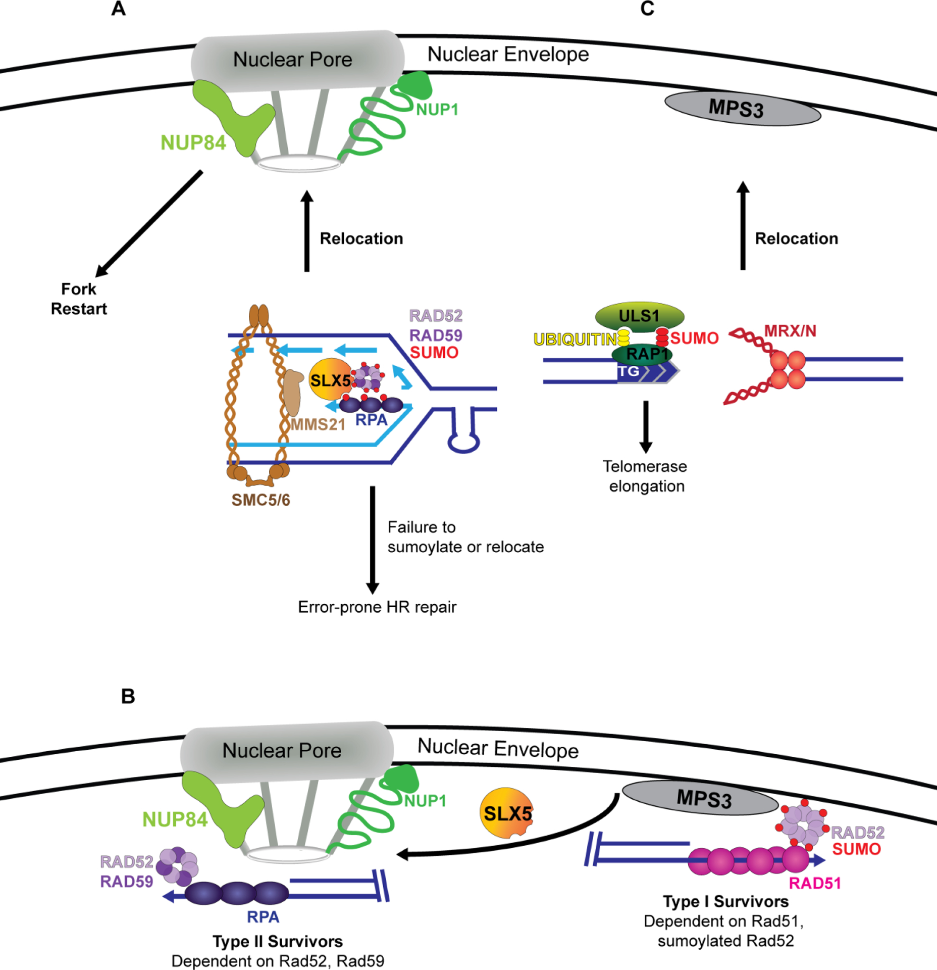 Figure 2: