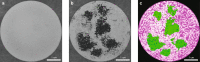 Fig. 9