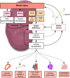 Fig. 2