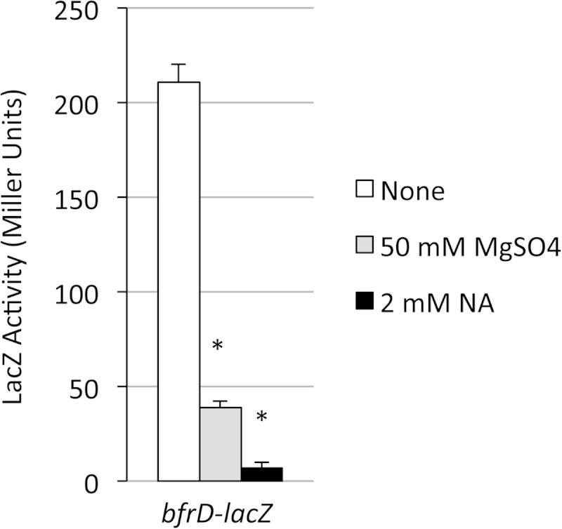 FIG 6