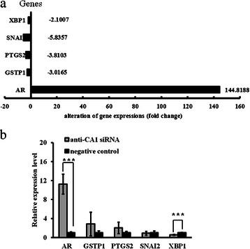 Fig. 13