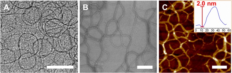 Fig. 8.