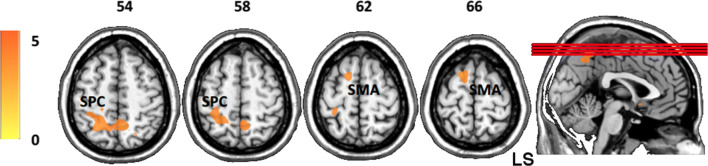 Fig. 5