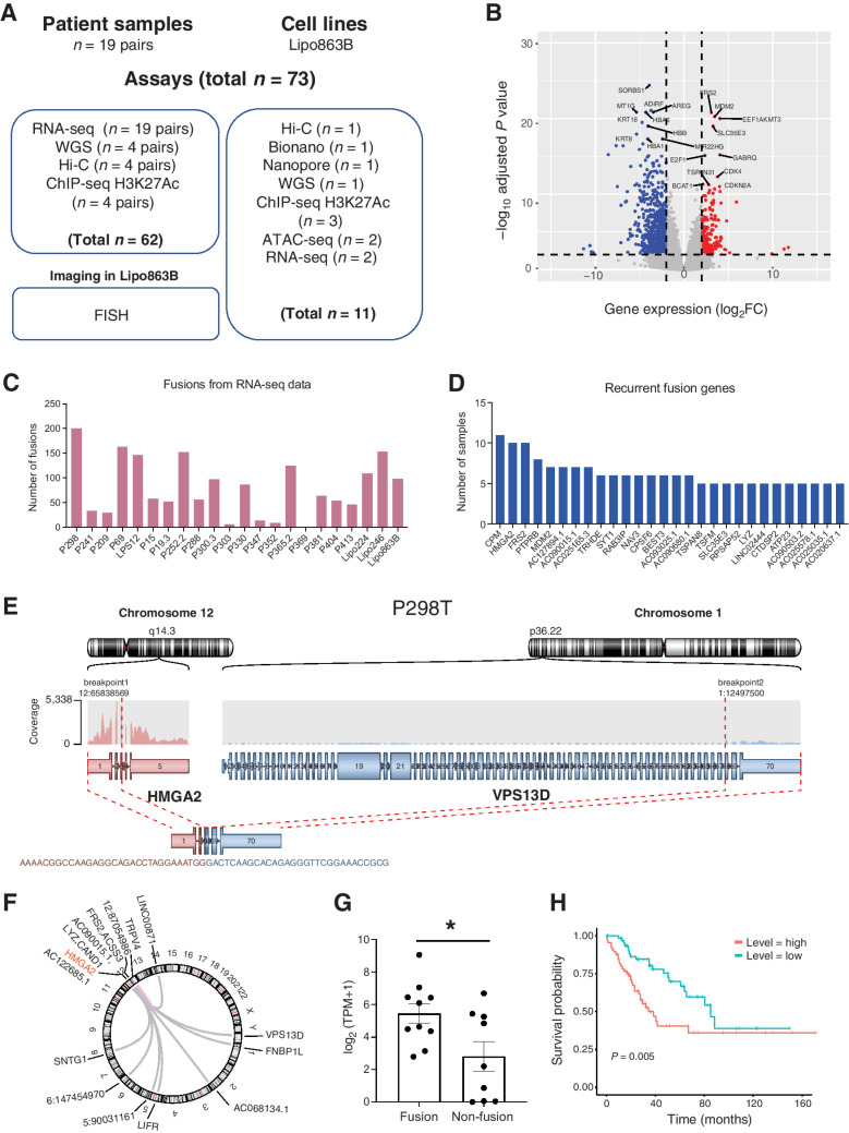 Figure 1. Gene expression and fusion events in liposarcoma patient samples. A, A summary of the Liposarcoma patient samples and genomic profiling assays performed in this study. B, The volcano plot for 19 pairs of patients RNA-seq data. C, The number of gene fusion events detected from patients and cell line samples using RNA-Seq data. D, List of recurrent fusion gene partners (fusion events occurred in at least 4 samples for the gene). E, Example of HMGA2-VPS13D fusion in P298T sample. F, The HMGA2 related fusion events in all the patient tumor samples. G, Expression level of HMGA2 in HMGA2 fusion detected samples and non-fusion samples (one tail t-test p-value = 0.0126). H, Kaplan-Meier survival analysis from TCGA sarcoma patient samples stratified by the expression level of HMGA2. The high-level expression group are patient with top 25% HMGA2 expression and low-level are bottom 25% HMGA2 expression patients.