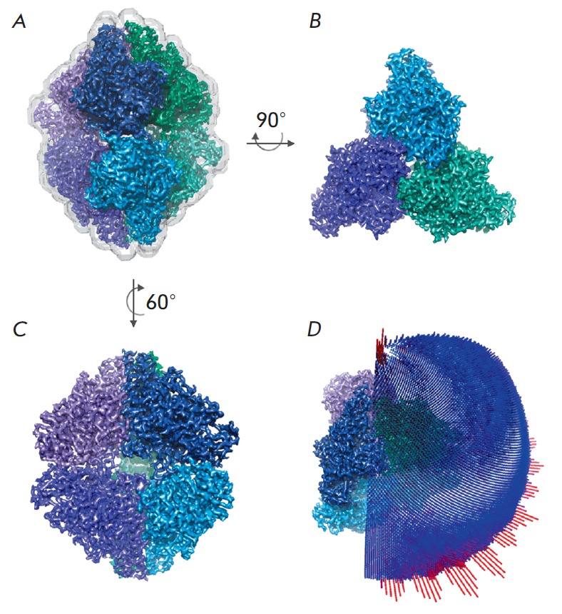 Fig. 6