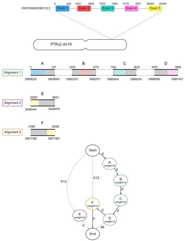 Fig. 1.