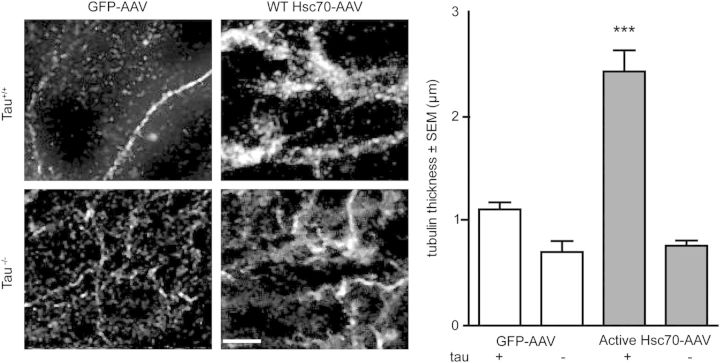 Figure 3.