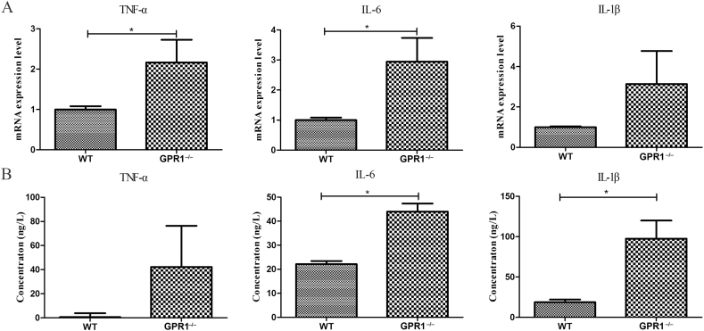 Figure 7