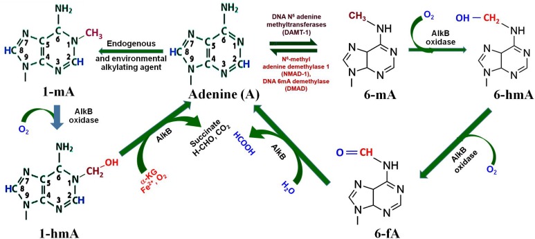 FIGURE 3