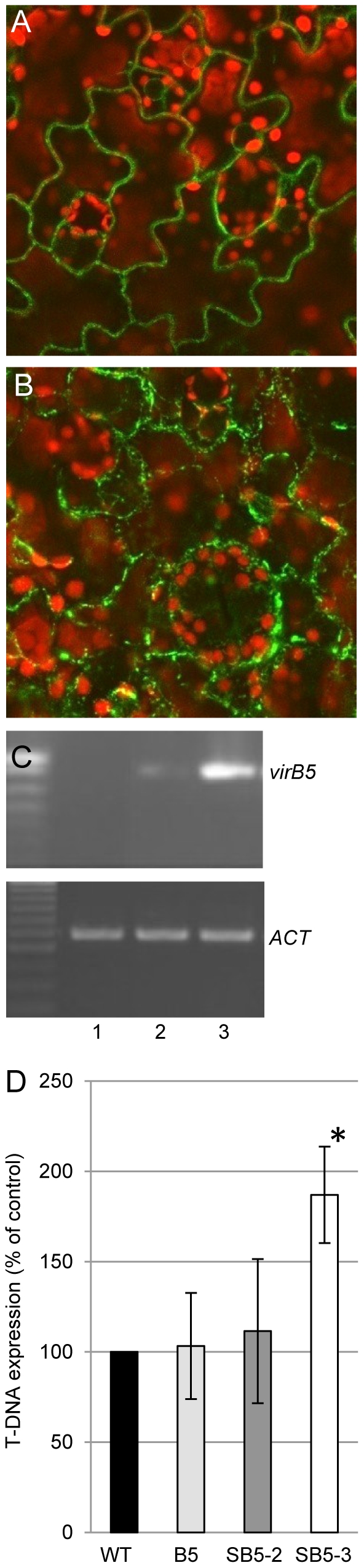 Figure 4