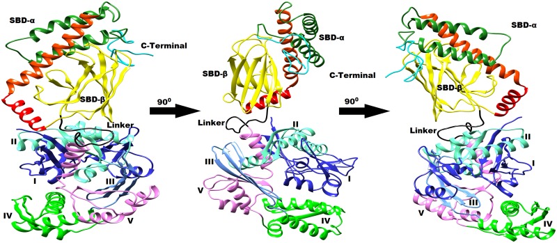 Fig 3