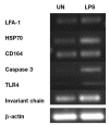 Figure 3A