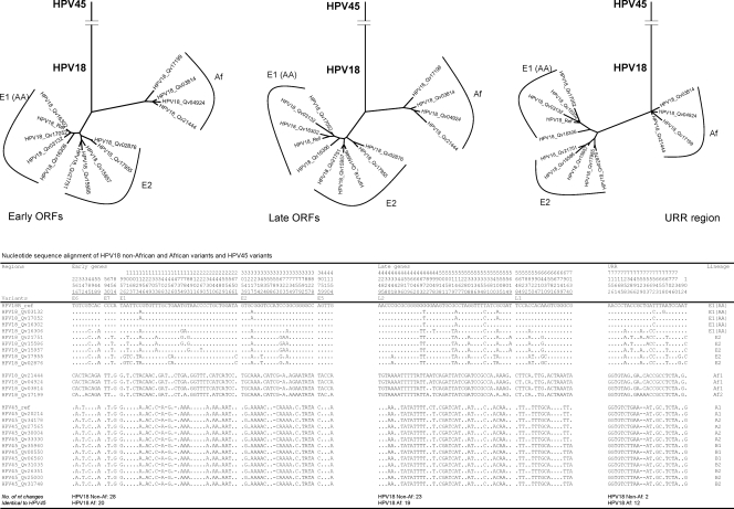 FIG. 12.