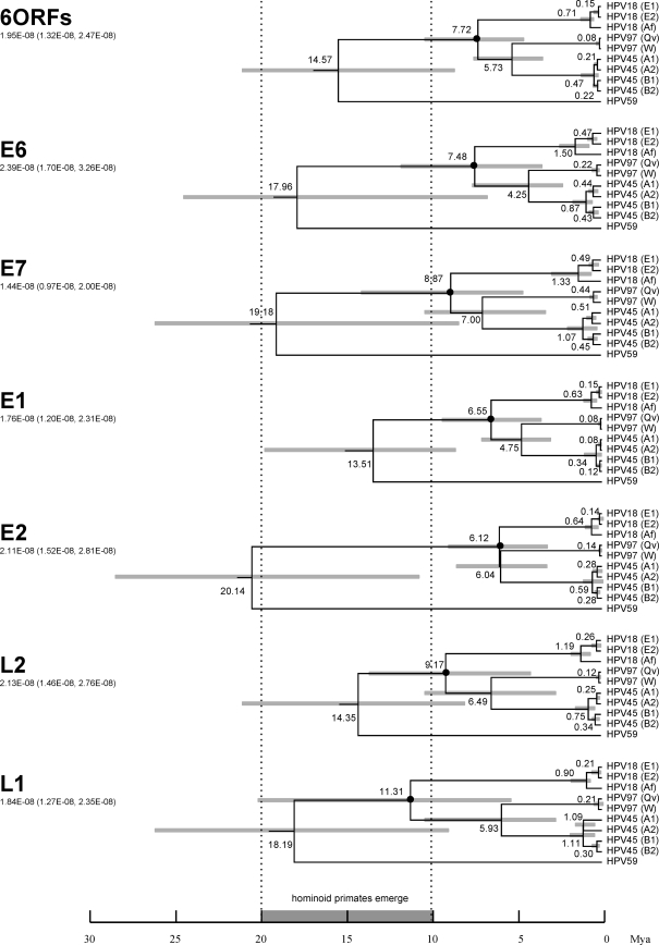 FIG. 10.