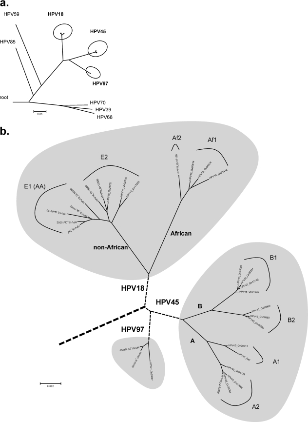 FIG. 8.