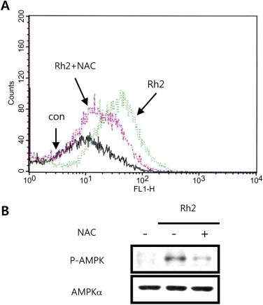 Fig. 5