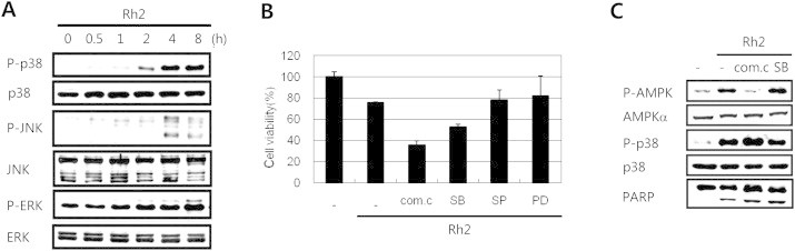 Fig. 6