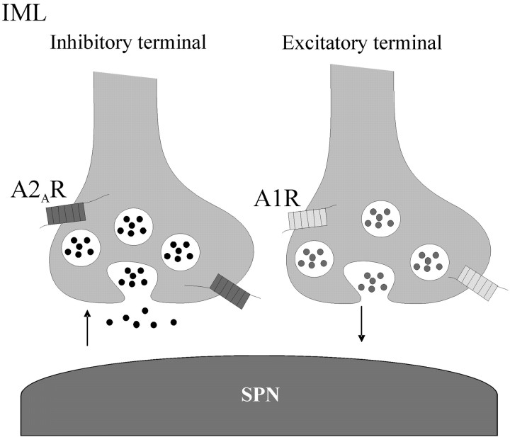 
Figure 9.
