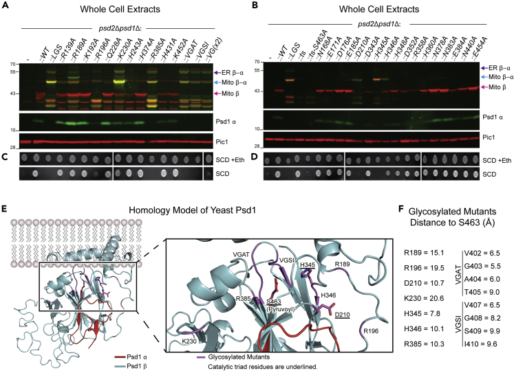 Figure 4