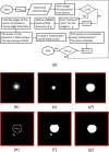 Flowchart of custom-written algorithm for segmentation of the phantom for each cross section in a dynamic scan. (a) Original phantom cross section with the wall included (b). Background and wall level sets are assigned to have zero value and the center point is calculated shown with the star (c). Region of interest is chosen to be a 60 × 60 pixel from the center point (d). Edge of the lumen is defined using the Canny edge-detection method (e). The lumen of phantom is filled based on the edge detected (f). The filled area is corrected using active contour method (g).