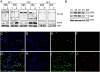 Figure 10.