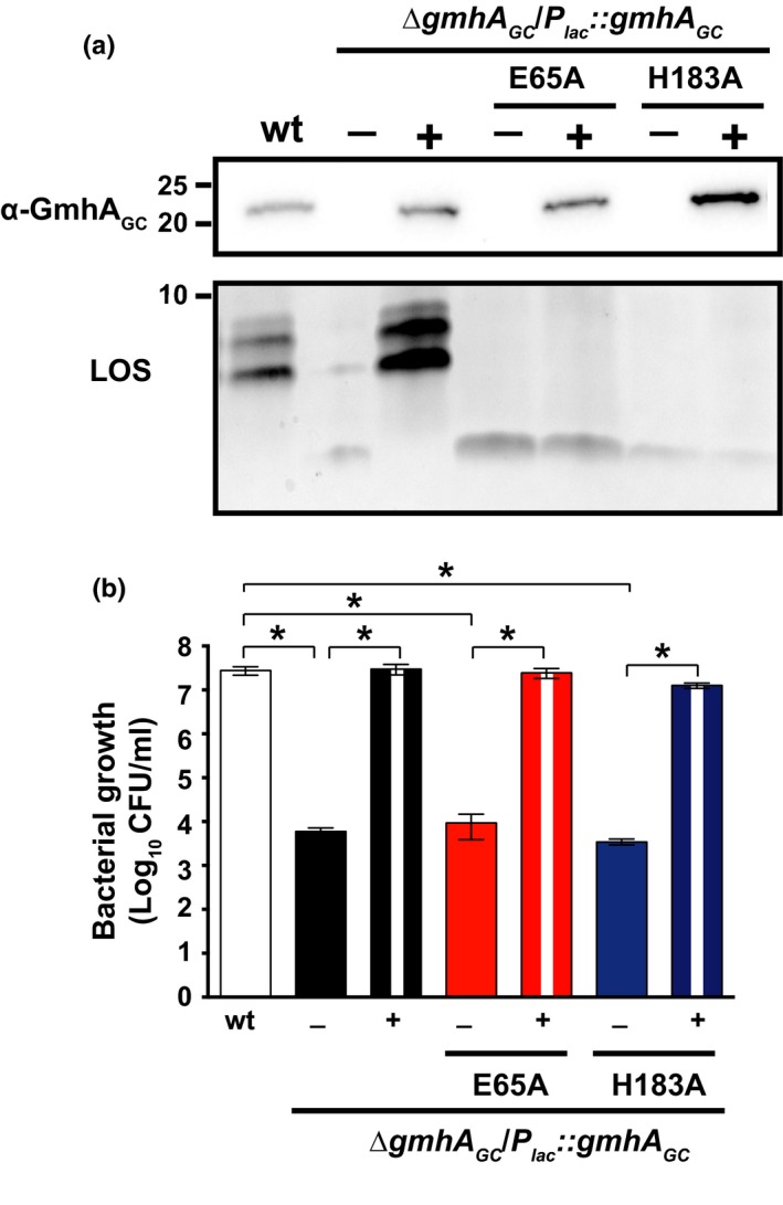 Figure 4